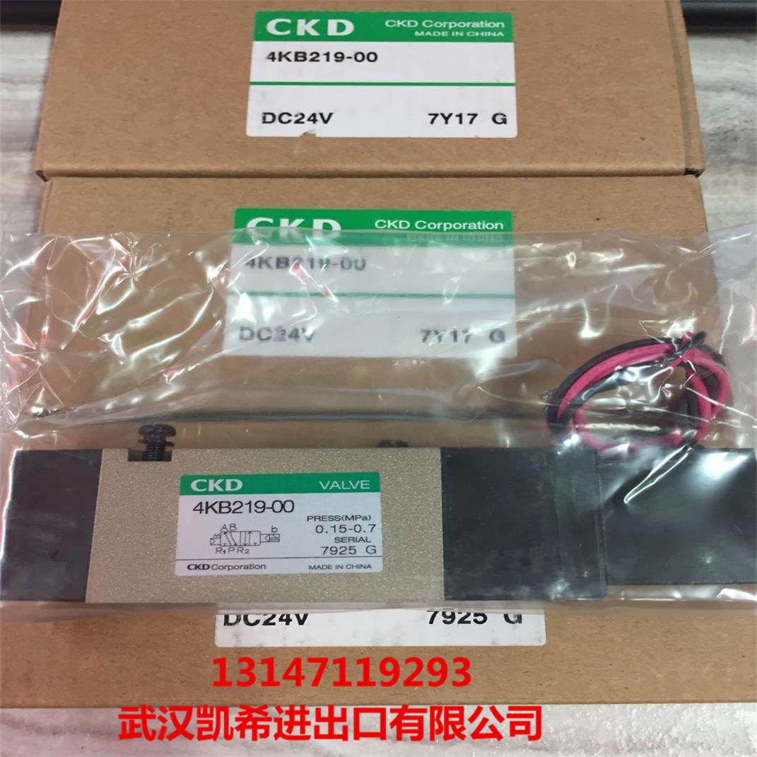 CKD电磁阀4KB219-00 4KB219-00-B 4KB219-00-M1L 4KB219-00-S