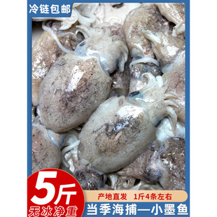 ���r�r���ك�Сī�~С���\�~ ���r����СĿ�~ ī�~�� Ŀ�~������