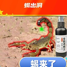 �Tϐ�������Tϐ��Сșץϐ��Ұϐ�������T����ϐ���Լ�������