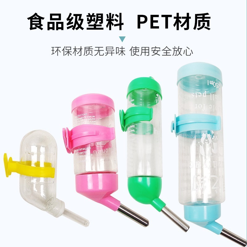 Hámster de conejillo de indias bebiendo agua de oso de oro