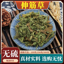 伸筋草中药材马尾筋骨草泡脚毛狮舒筋草石松狮天然无硫包邮500g克