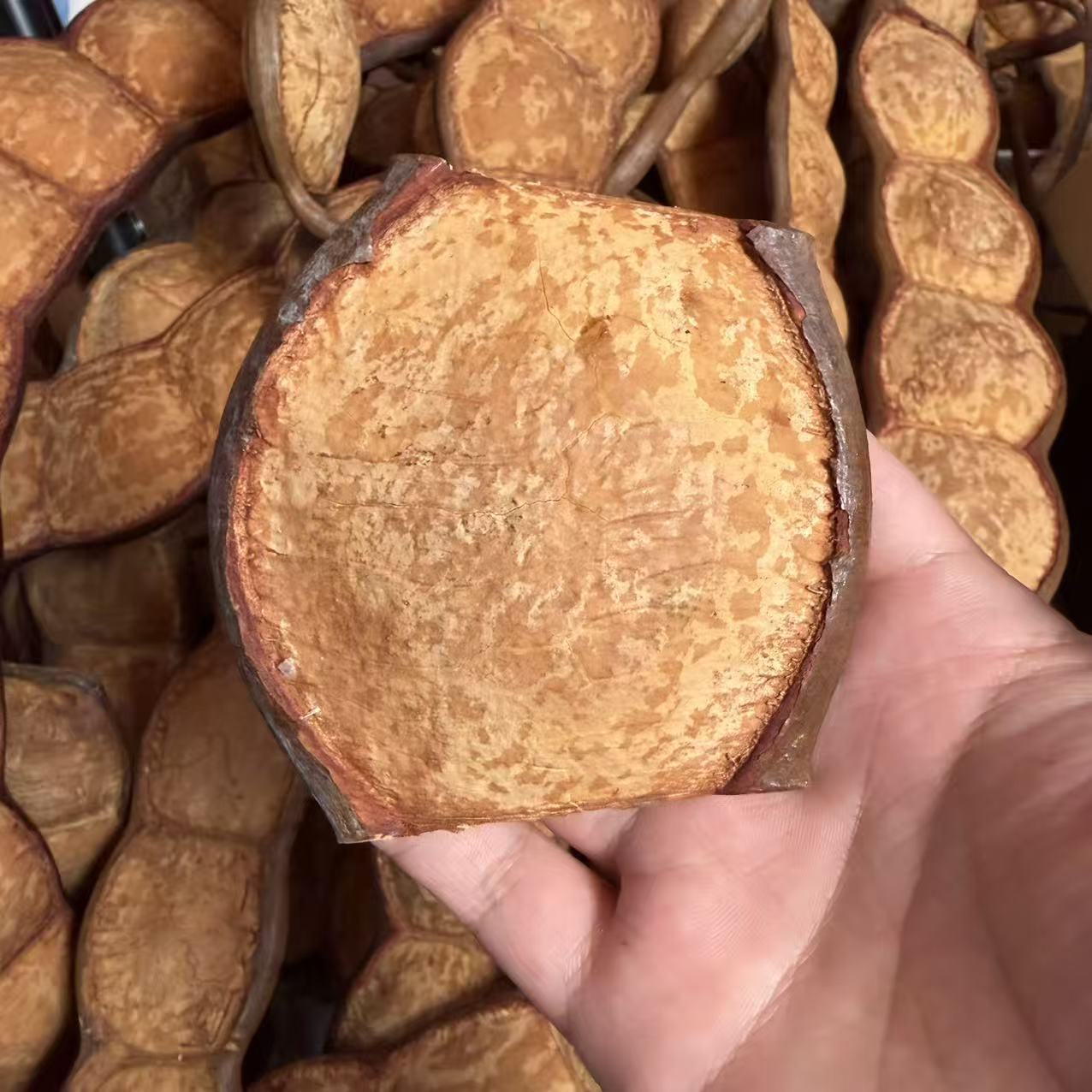 Frijoles individuales de vaina de alta calidad