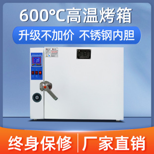 �ߜع��I����500��늟���L������600�Ȍ����늺��l������܇���