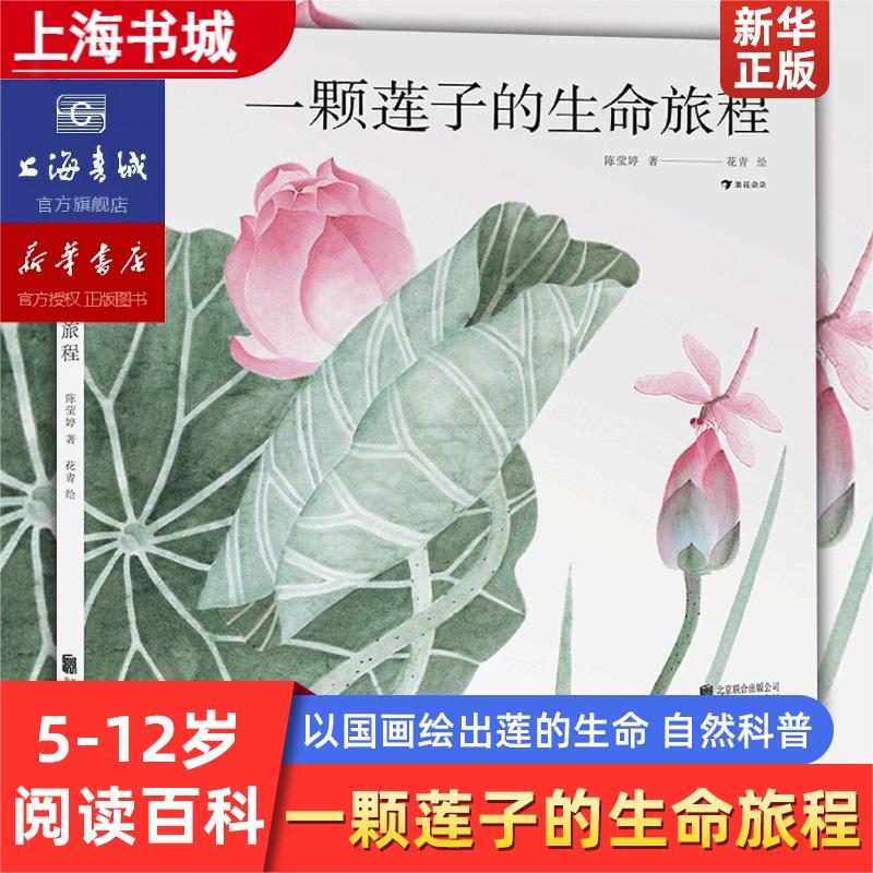 一颗莲子的生命旅程 以国画绘出莲的生命轮回国风情怀自然科普绘