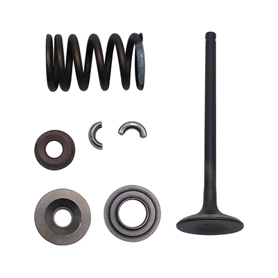 valve assembly, KQ-76, Motorcycle engine and accessories
