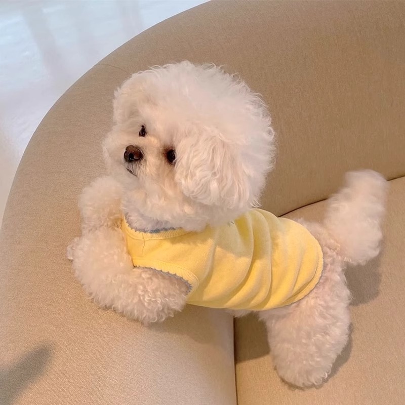 Primavera y verano perro estilo Ins lindo y dulce macarrón chaleco gato color sólido ropa de dos patas ropa de peluche para mascotas