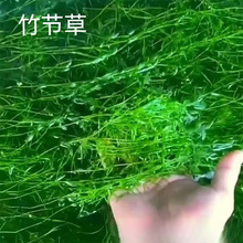 ����ӡ��С�񹝺��B������������ֲ���~���쾰����ˮ�|���ˮ��