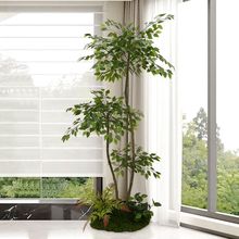 ����Gֲ�쾰�M���̨���˽��b��͏d��ֲ�ﾰ�^�҃��Ҹ���