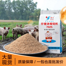 厂家直销仔猪浓缩饲料强健肠胃促25%增重提高养殖效益浓缩料