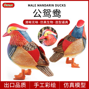 �羳�����x���[��ɭ���w���B�ģ���J֪�����b��辰�쾰���k�[��