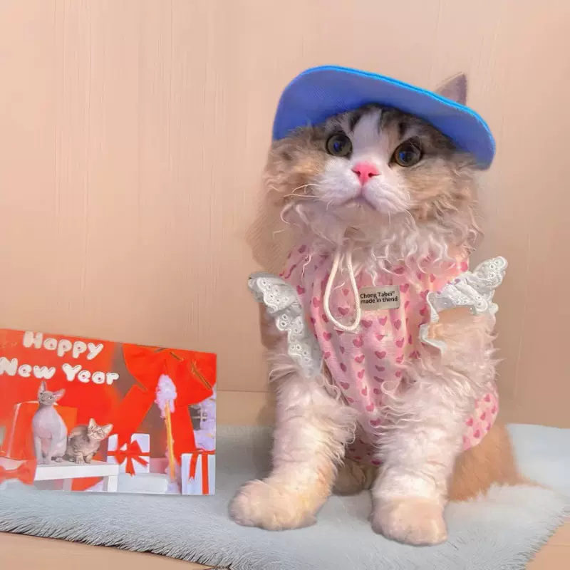 宠物衣服爱心公主裙小型猫咪衣服透气薄款可爱甜美蓬蓬裙猫咪吊带