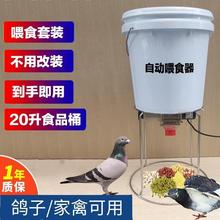 養殖自動喂食器鴿子雞鴨食槽投料機定時全自動喂雞喂料機用具喂食