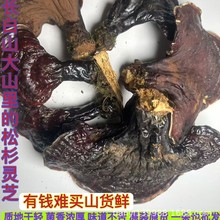 �|����ɼ�`֥�r���`֥�Ҝ��ݾ��L��ɽ�`֥��؛�`֥���ӷ��`֥