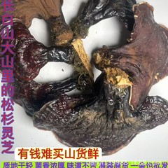 東北松杉霊芝農場霊芝スープとワイン長白山霊芝乾物霊芝胞子粉末霊芝