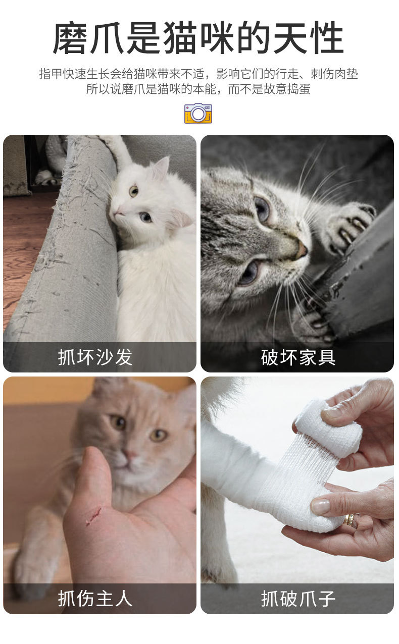 详情_02.jpg