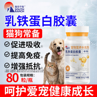 Lactoferrin Capsules for Cats, Cats, Dogs and Pets to Improve Immunity and Nutritional Paste Supplements for Kittens