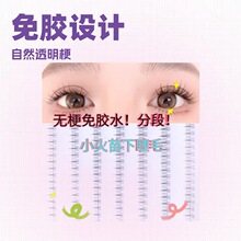 ���zС�����½�ë ��������Ȼ͸���� ���ͨ�������֚��h 240 ��