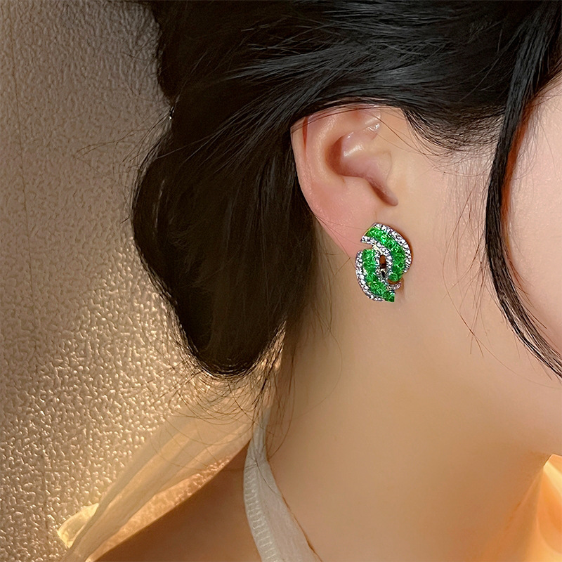 Chic Ear Accessories
