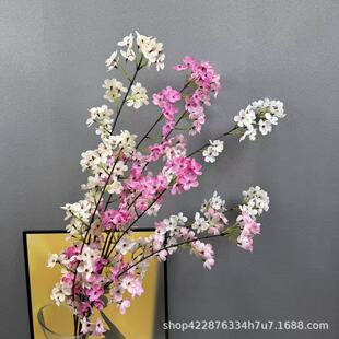 ���洹���滨�U���b�2���滨���Ļ���c��Y�ò����滨��֦���l