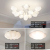 Creative ceiling light for living room, ceiling lamp for bedroom, french style, internet celebrity, light luxury style