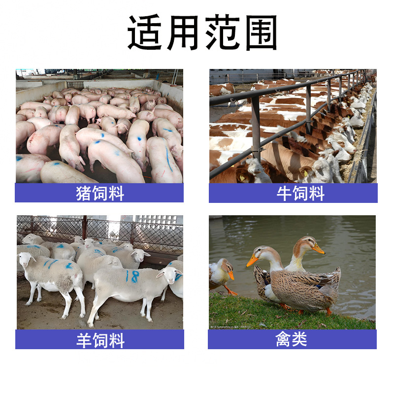 适用禽畜