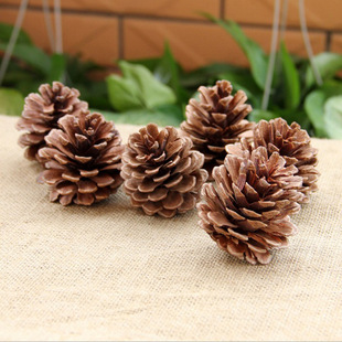 2-14cm�ɹ��}�Q�b�Ʒ��� diy�ɹ��ɹ������Ĕz��������S�����l
