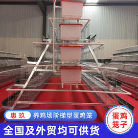 外贸阶梯蛋鸡笼厂家 冷镀锌三层五门阶梯蛋鸡笼 家用养殖设备定制