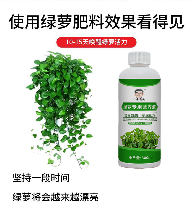 详情图