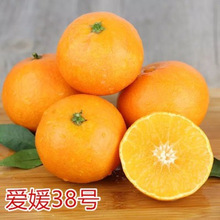 ���Ϲ��������l��Ҋ�s�������Ը̽۹������θ̘���Ƥ������ɷNֲ