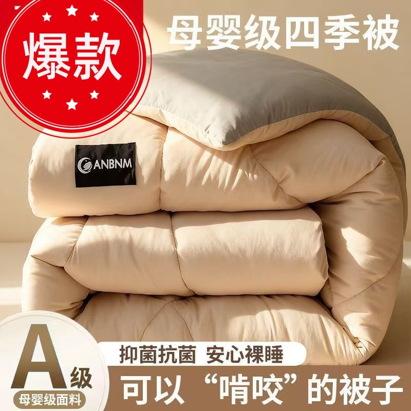 Winter Quilt, Thickened Cotton Quilt, 2025 New Model, All-Season Air Conditioning Quilt, Student Quilt, Winter Autumn and Winter Quilt