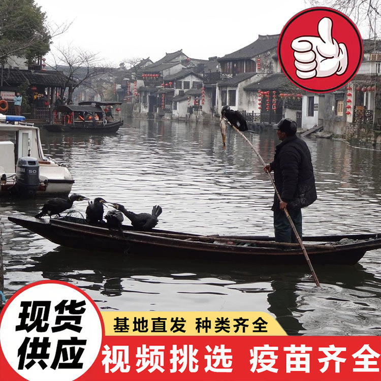 lQLPJxqEURrMrhjNAu7NAu6wziQlqG