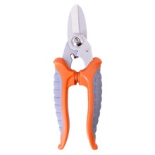 6.3�粻�P�늹����๦�ܹ��I���������FƤ�����Ǽ���֦��