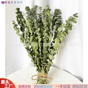 �ɻ�����Ƴ�֦������o�����ԡ�Ҿ��b���ϏS�����ldiy����