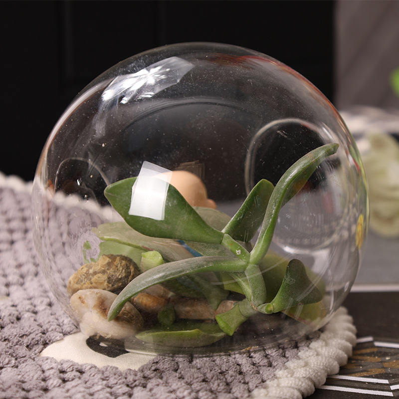 Home Decoration Swing Micro -Landscape Ecological Bottle Succulent…