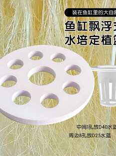 �~���h��ʽˮ��ֲ�ﶨֲ���bϵ�y�o�������O��ˮ�ϷN�˸�ϵ�l�_