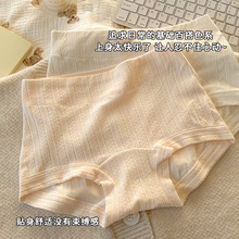 女士纯棉抗菌加长全棉裆透气中腰无痕包臀内裤女2025新款三角短裤