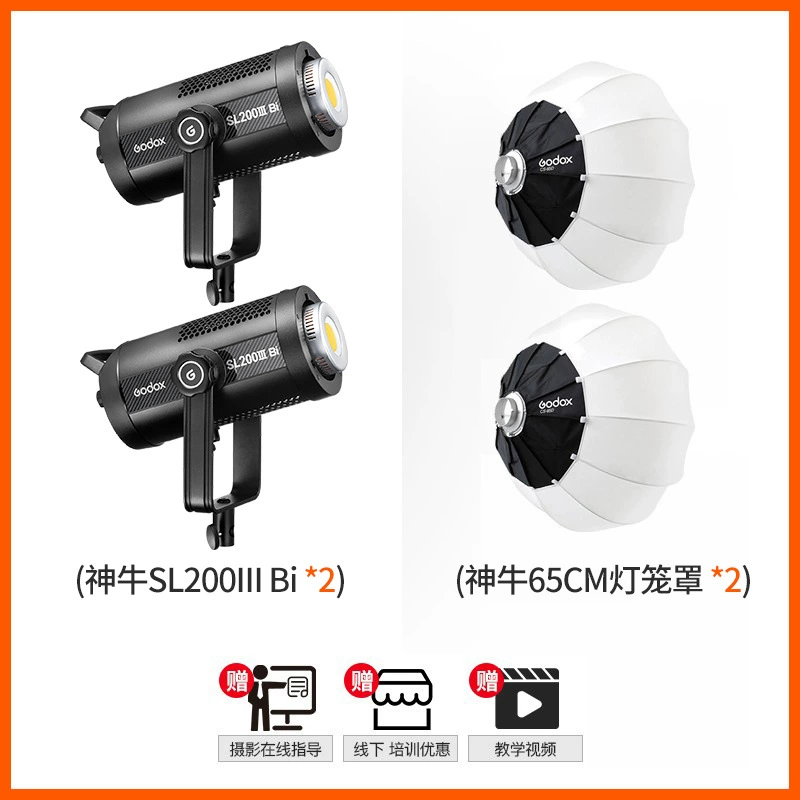 Godox Shenniu SL200WBI три поколения две цветовые температуры живой трансляции лампа светодиодная фотографическая лампа держатель для фотографий солнечная лампа