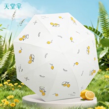 ����ɡ33985E����ʱ���ɹ��������̫��ɡ���ʿ�ͨ��Я�۵�����ɡ