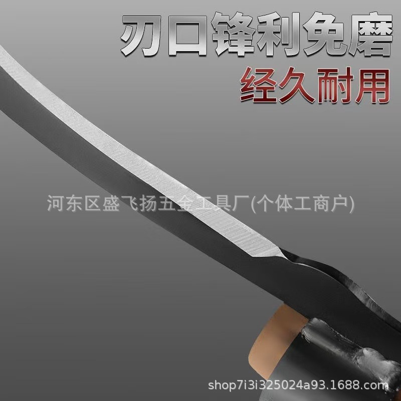 微信图片_202505130945441.jpg