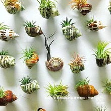 �S��ֱ�N�s΢���^���治��Ʒ�N�������ԾGֲֲ��o���쾰�辰ʢ��