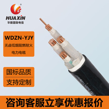 �A����|WDZN-YJY 0.6/1kV�͟��o�u��ȼ�ͻ������늘���|����