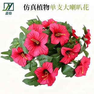 �����֧�����Ȼ���ţ���ٻ����Ƶ��c�廨�ѻ�����Ҿ������b�
