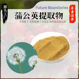 蒲公英提取物10:1-50:1 蒲公英黄酮 水溶蒲公英提取物工厂直发