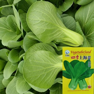 ���l�Ϻ�������߲˷N��С�Ͳ˷N���ļ�����С����uë���Ѵ�ȫ