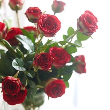 ��Ʒõ�徫�·���õ�廨 �����[���b��ܻ�Y���ջ�c