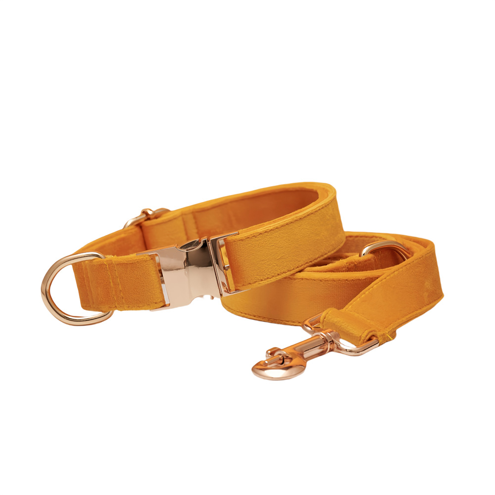Collar para perros, grabado, perro pequeño anti-pérdida, salir a pasear al perro, correa para el perro, correa para el collar, collar para perros medianos y grandes, cuello de Corgi