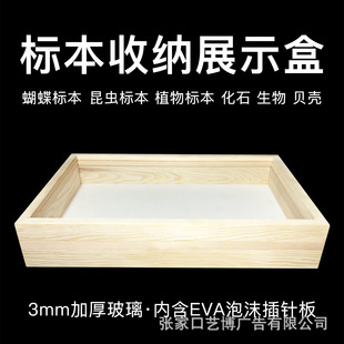 insect butterfly specimen pin box pine solid wood glass specimen box diy handmade plant storage box display box