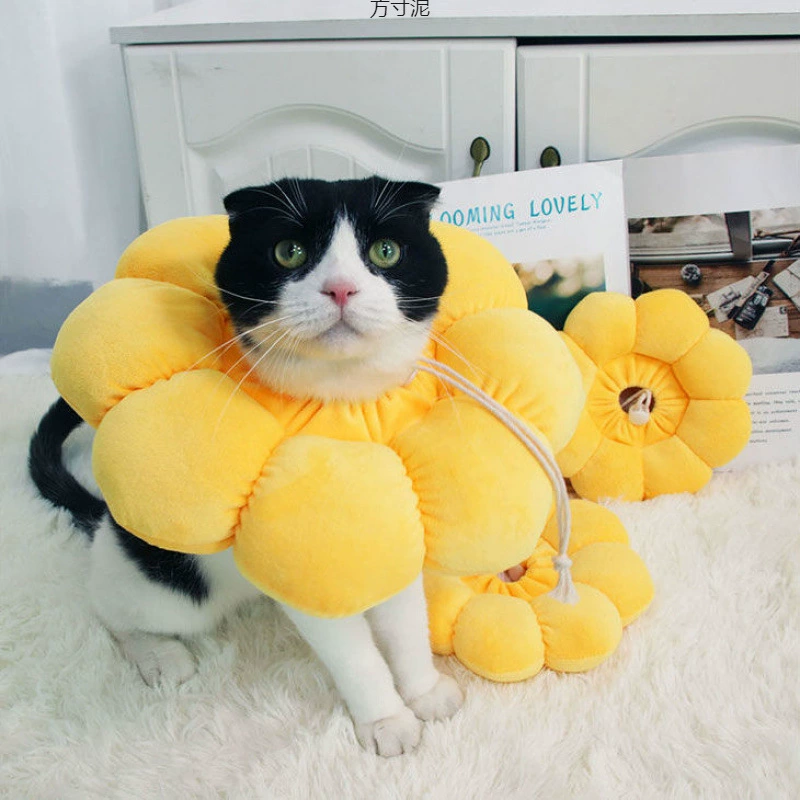 Кошачий ошейник Elizabeth circle собачий анти-лизать мягкий набор для головы Elisa White Shome Shoy Поставки Оптовая торговля