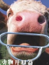 ţθFţθȡFŴŻ\ţθFFʯţ_