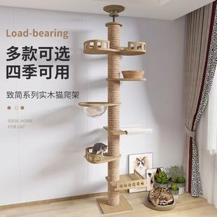 Floor-To-Ceiling Cat Climbing Frame, Solid Wood Small Space Capsule Cat Climbing Frame, Integrated DIY Multi-Function